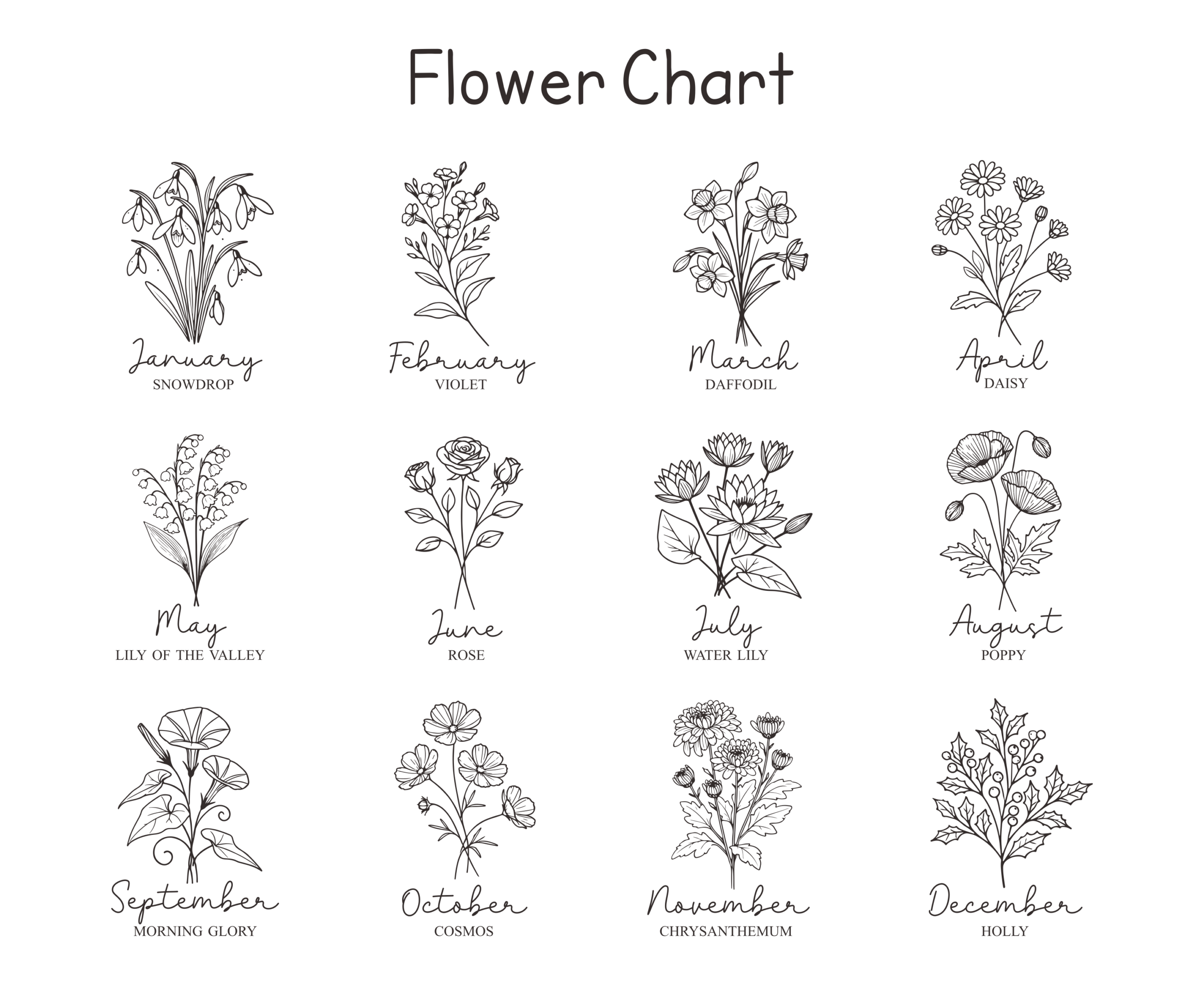 Flower chart with monthly illustrations: Snowdrop, Violet, Daffodil, Daisy, Lily, Rose, Water Lily, Poppy, etc.