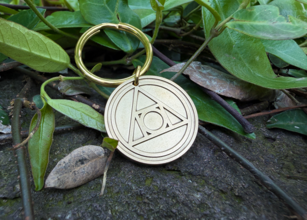Gold keychain with a circle and triangle engraving, symbolizing the AA Recovery, resting on green leaves.